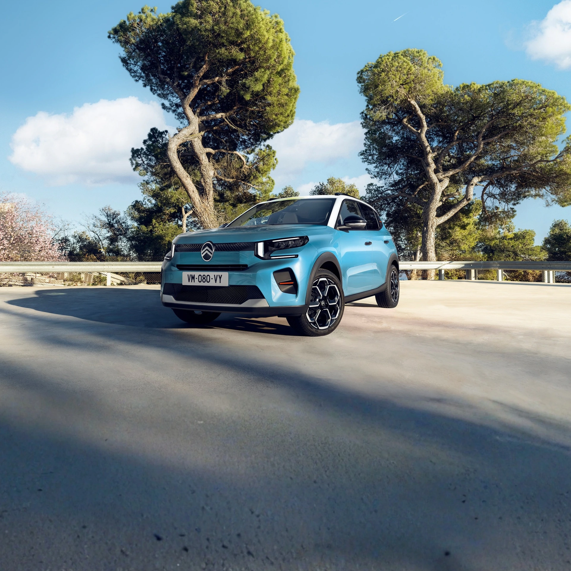 Citroen C3 azzurra su sfondo alberato