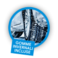 Badge-gomme-invernali Badge-gomme-invernali